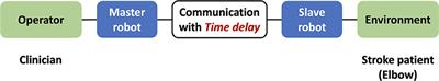 Remote Assessment of Post-Stroke Elbow Function Using Internet-Based Telerobotics: A Proof-of-Concept Study